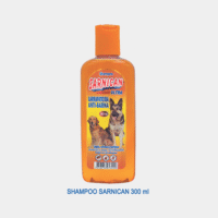 Sanican300ml